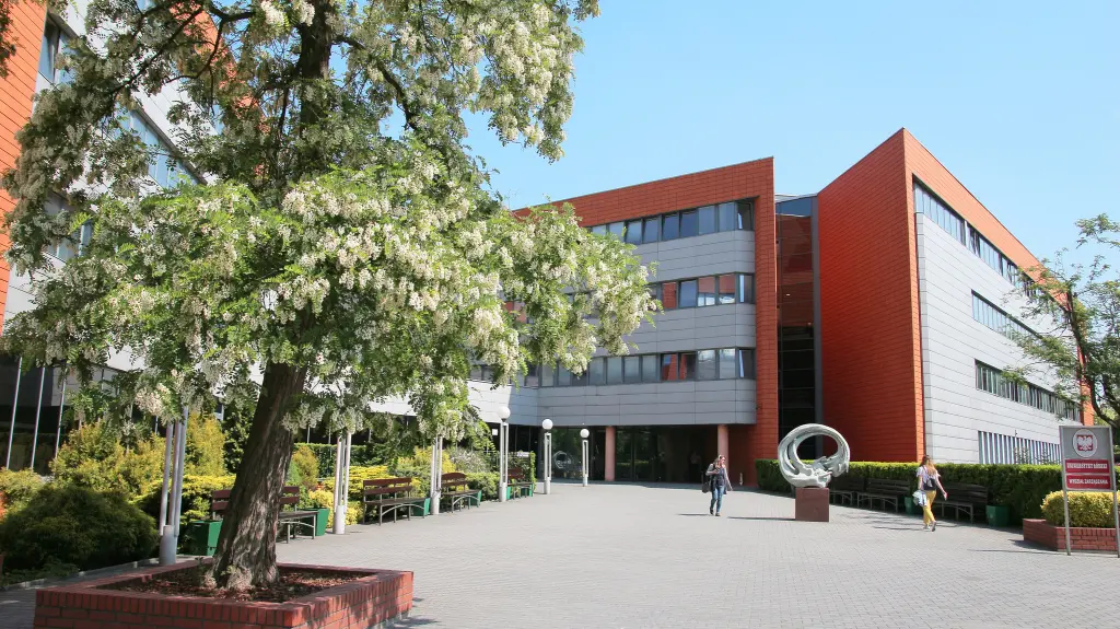 Business Management na Uniwersytecie Łódzkim 