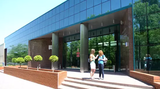 Wzniosłość i makabra w literackich obrazach śmierci 