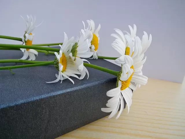 Sukces doktorantki z Politechniki Łódzkiej